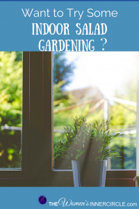 Some Great Resources to help you begin doing some Indoor Salad Gardening