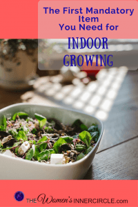 If you are a newbie to Indoor Salad Growing, this article is the first step to simplifying it for you. There is one item you'll need to get started right now.