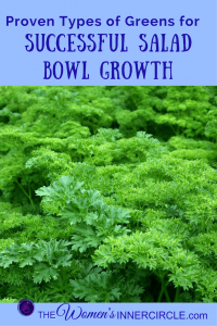 If you are wondering what types of greens would be best for indoor salad growing, we've got the information for you. Growing Salad Bowls is fun and healthy, not to mention delicious!